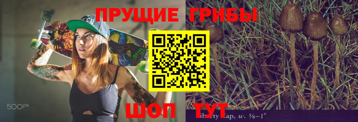 Псилоцибиновые грибы Psilocybine cubensis Магадан