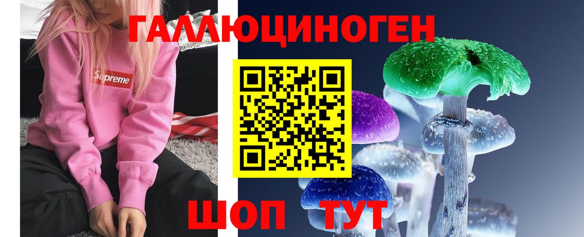 Магадан  Галлюциногенные грибы MAGIC MUSHROOMS  Вход с VPN 
